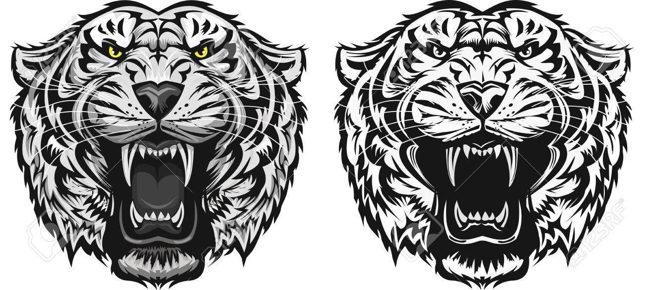 Download Tiger Face Vector at Vectorified.com | Collection of Tiger ...