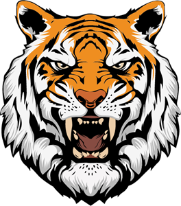 Download Tiger Face Vector at Vectorified.com | Collection of Tiger ...