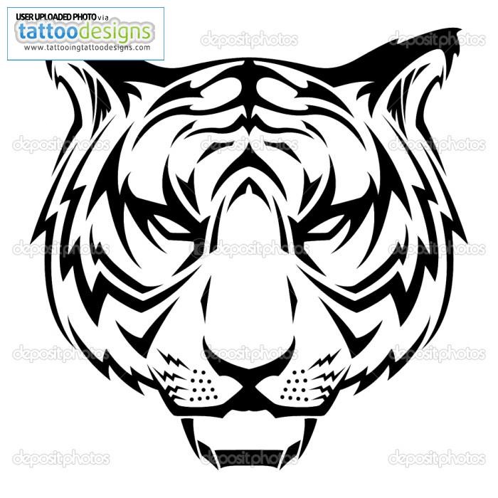 700x700 Tiger Face Vector