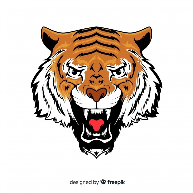 Tiger Face Vector at Vectorified.com | Collection of Tiger Face Vector ...