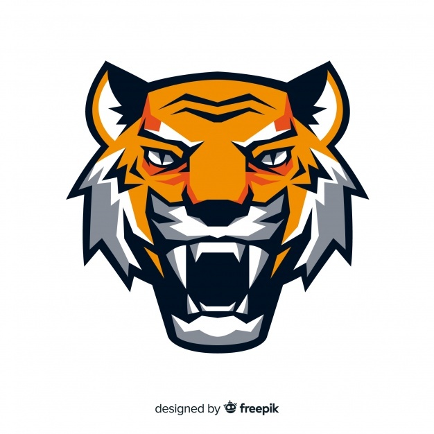 626x626 Tiger Vectors, Photos And Free Download