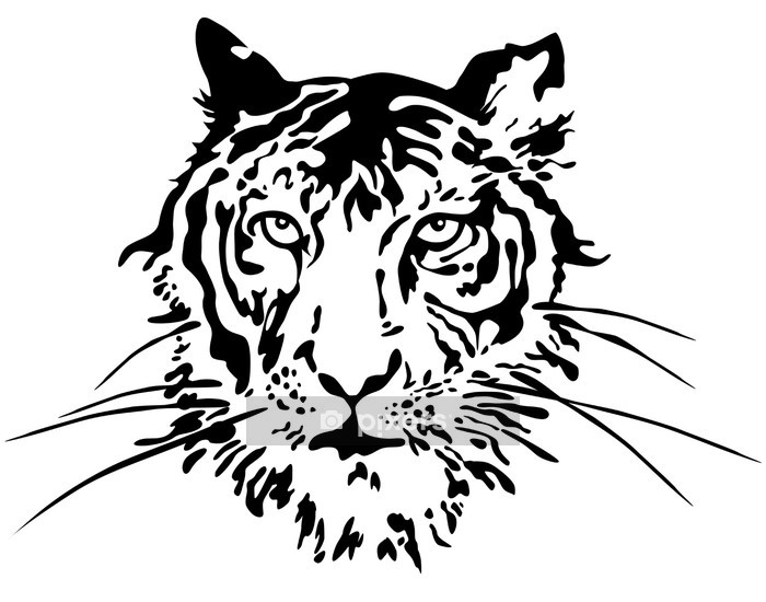 700x550 Tiger Face Vector Wall Decal