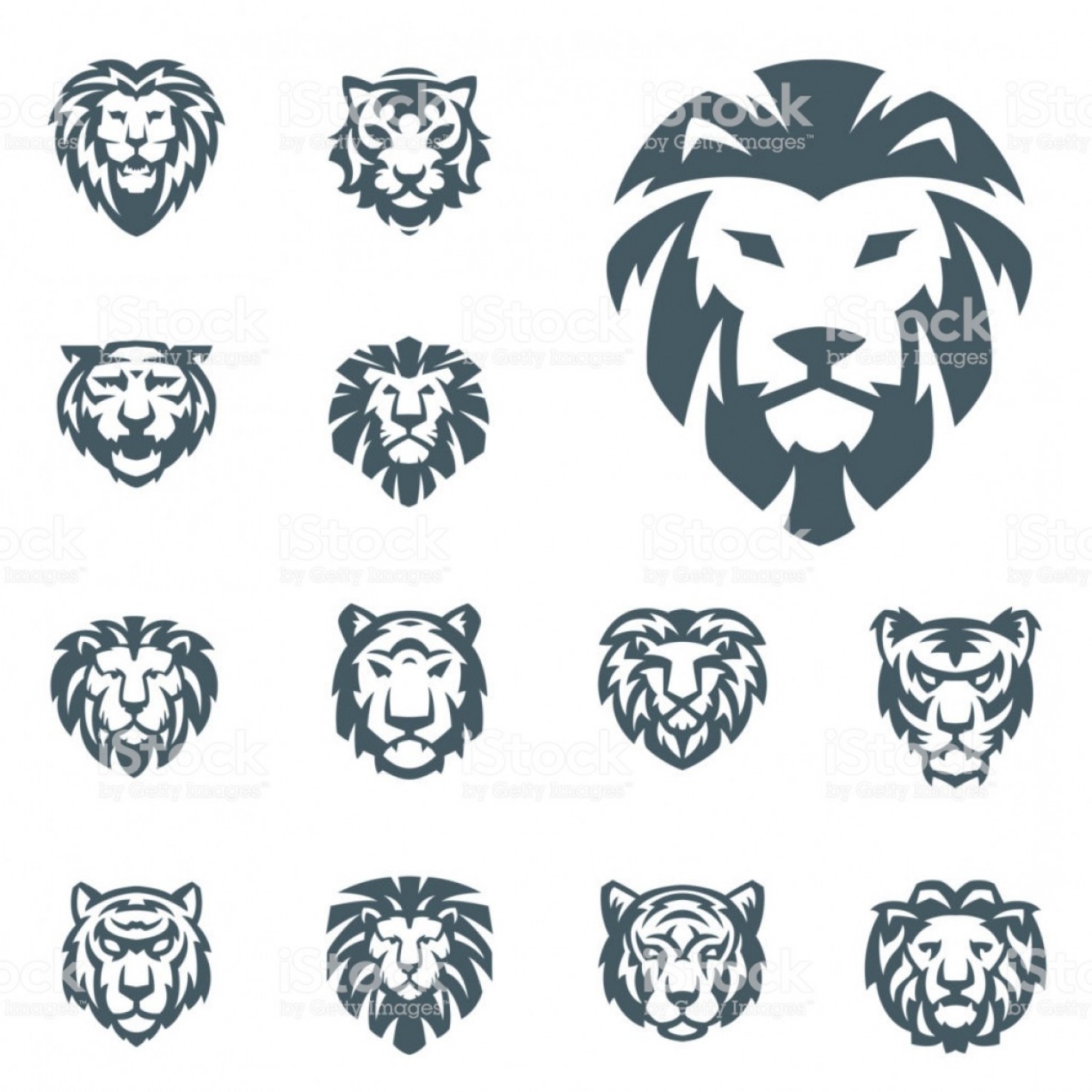 1473x1473 Tiger And Lions Vector Head Face Silhouette Badge Strength