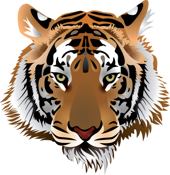 595x612 Tiger Head