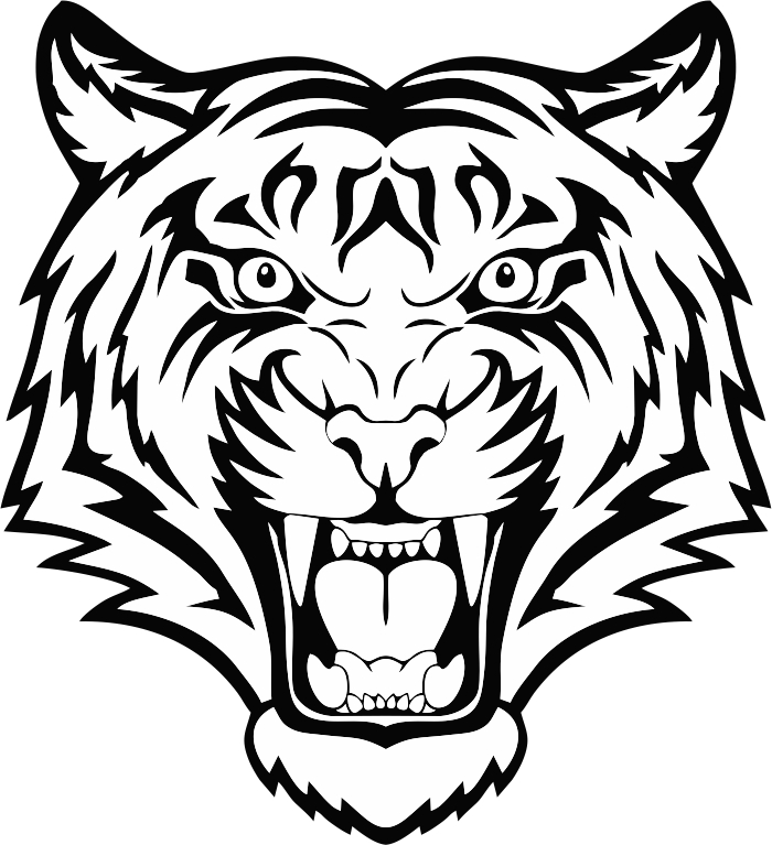 700x767 Tiger Head Free Vector Coreldraw