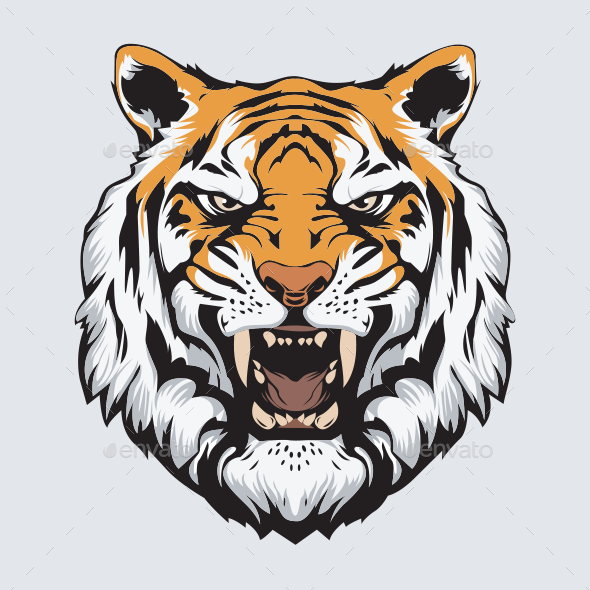 590x590 Tiger Head Vector