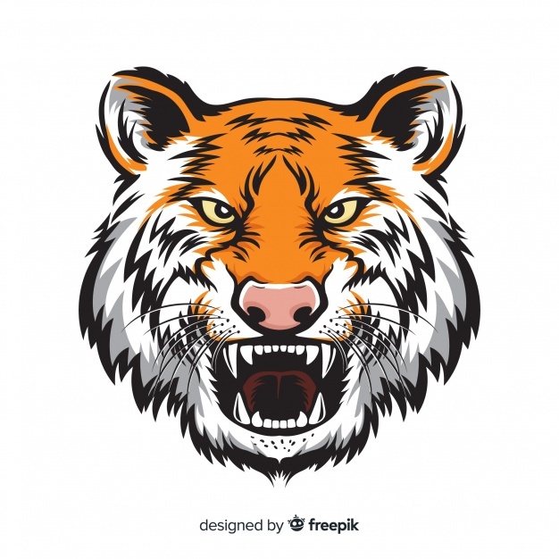 626x626 Tiger Head Vectors, Photos And Free Download