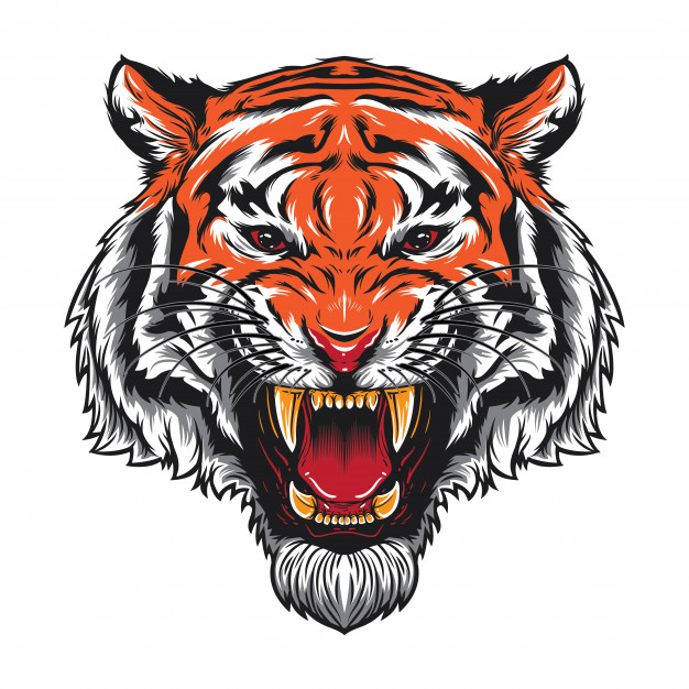 626x626 Angry Tiger Head Vector Premium Download