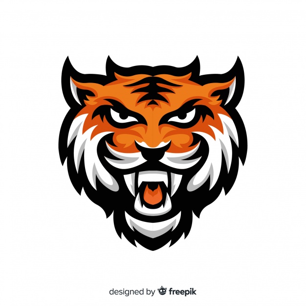 626x626 Tiger Head Vector Free Download