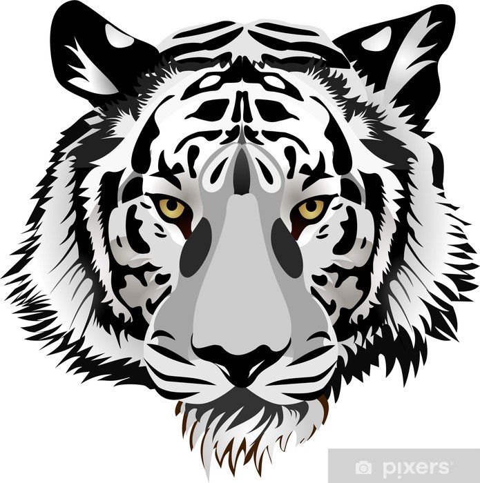 695x700 Tiger Head Vector Wall Mural We Live To Change