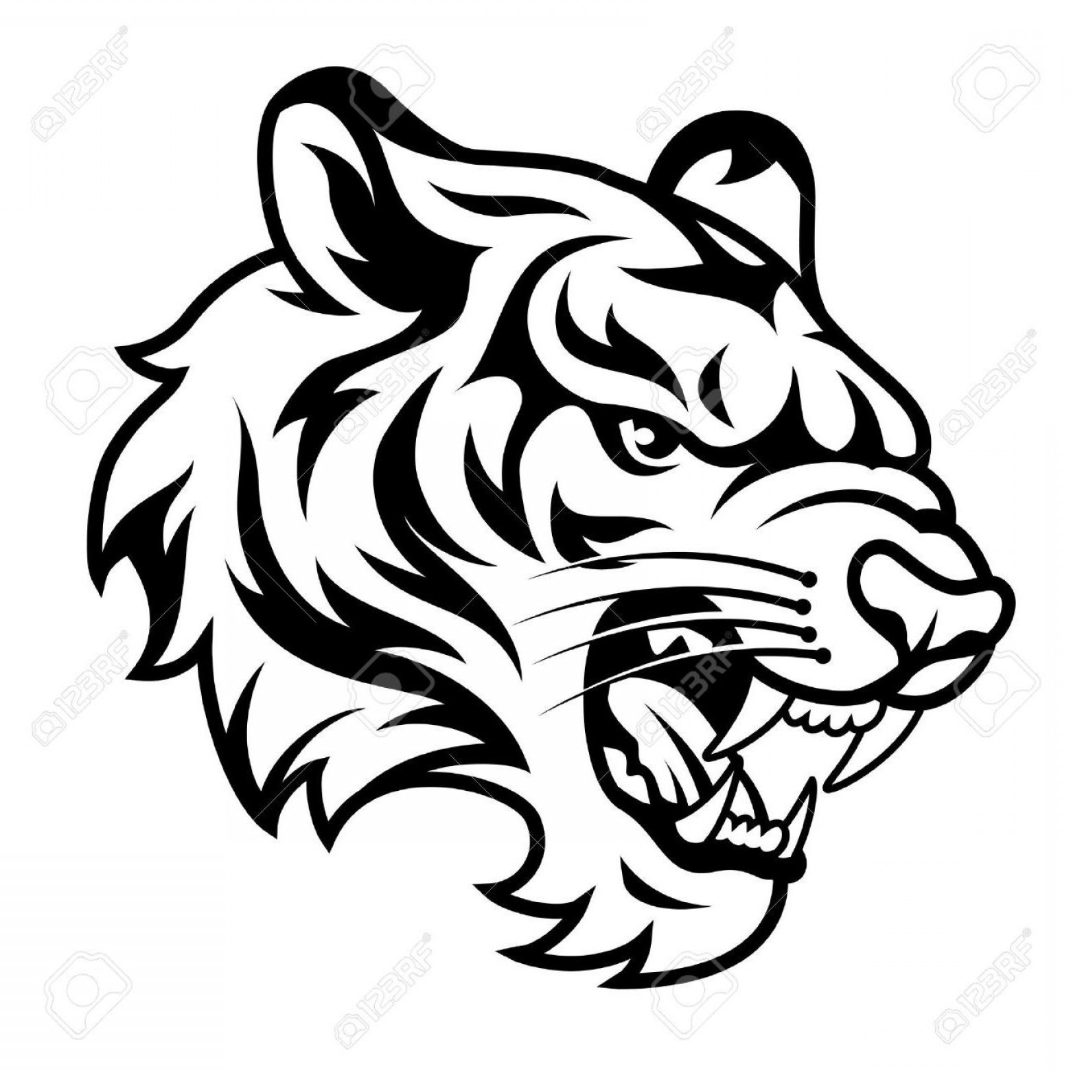 Tiger Head Vector at Vectorified.com | Collection of Tiger Head Vector ...