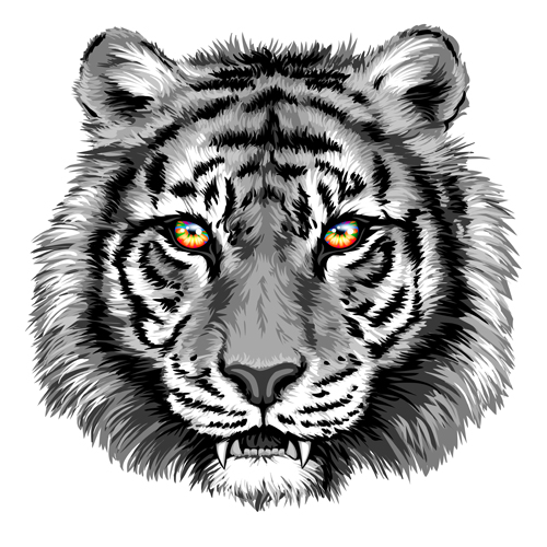500x500 Gray Tiger Head Vector Free Download