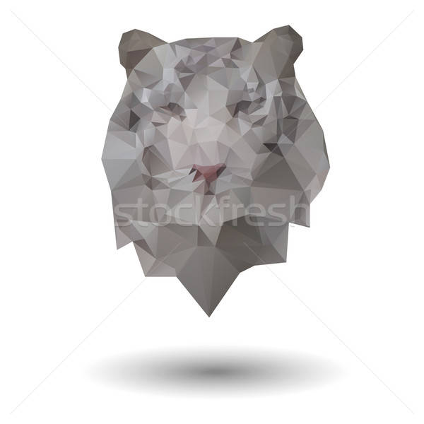 600x600 Triangle Tiger Icon Vector Illustration Olga Lisovskaia