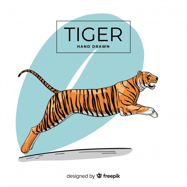 Jumping Tiger Vector Free Download 626x626 Jumping Tiger Vector Free Download
