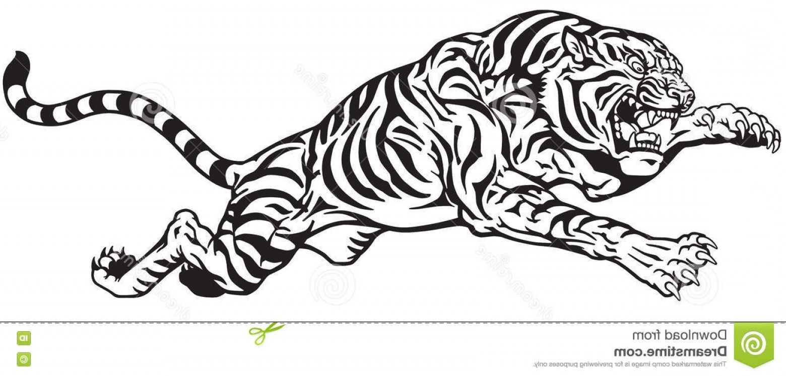 Stock Illustration Tiger Jump Black White Jumping Aggressive Big 1560x746 Stock Illustration Tiger Jump Black White Jumping Aggressive Big