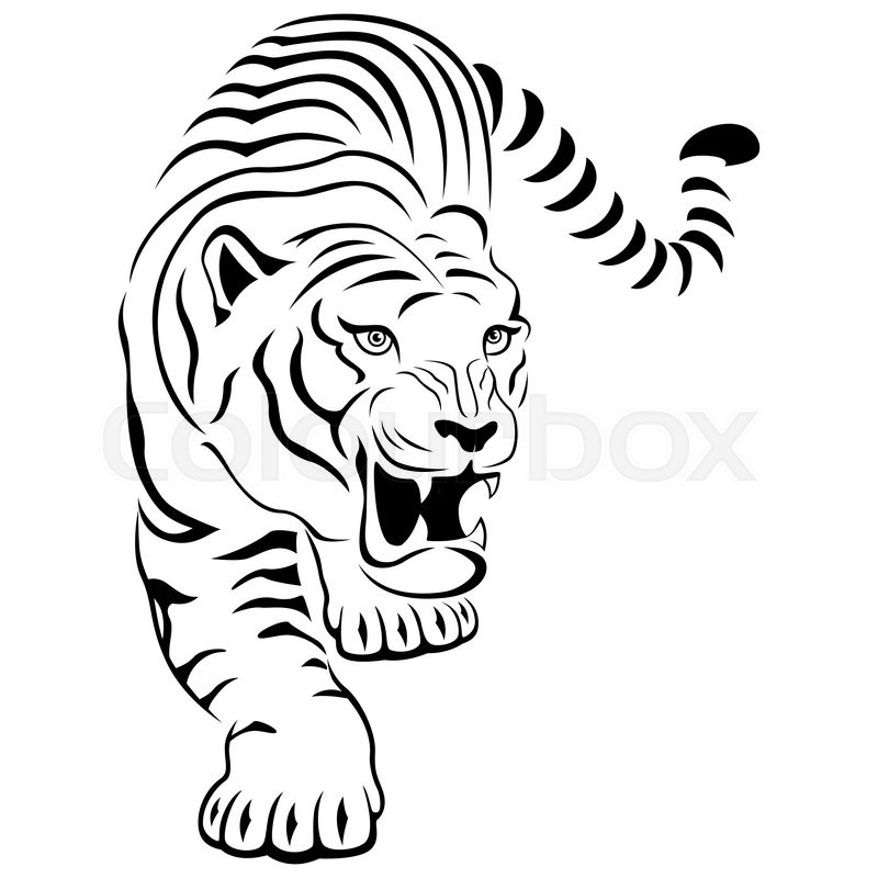 Tiger Silhouette Drawing 800x800 Tiger Silhouette Drawing