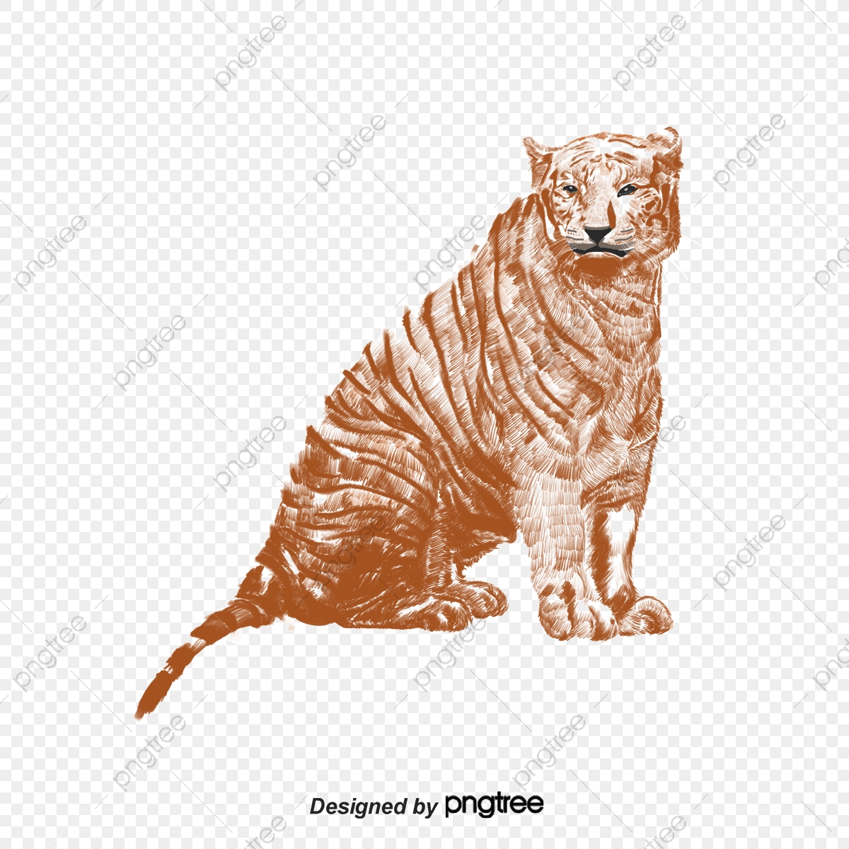 Tigers Run, Run, Tiger, Jump Png And Vector With Transparent 1200x1200 Tigers Run, Run, Tiger, Jump Png And Vector With Transparent