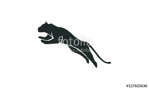 Tiger Jump Stock Image And Royalty Free Vector On Fotolia 500x300 Tiger Jump Stock Image And Royalty Free Vector On Fotolia