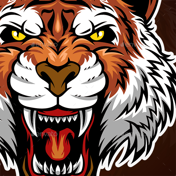 590x590 Tiger Head Mascot Vector