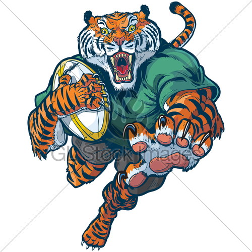 500x500 Tiger Rugby Mascot Vector Illustration Gl Stock Images