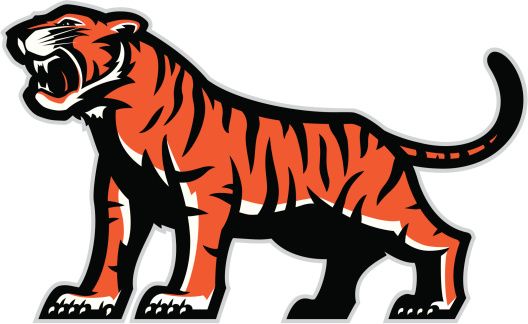 528x324 Tiger Mascot Vector Art Illustration Football Tiger Logo