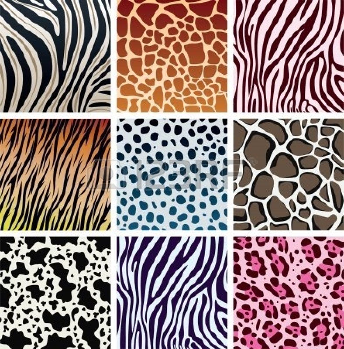 1182x1200 Stock Vector Makeup Board In Animal Print Wallpaper
