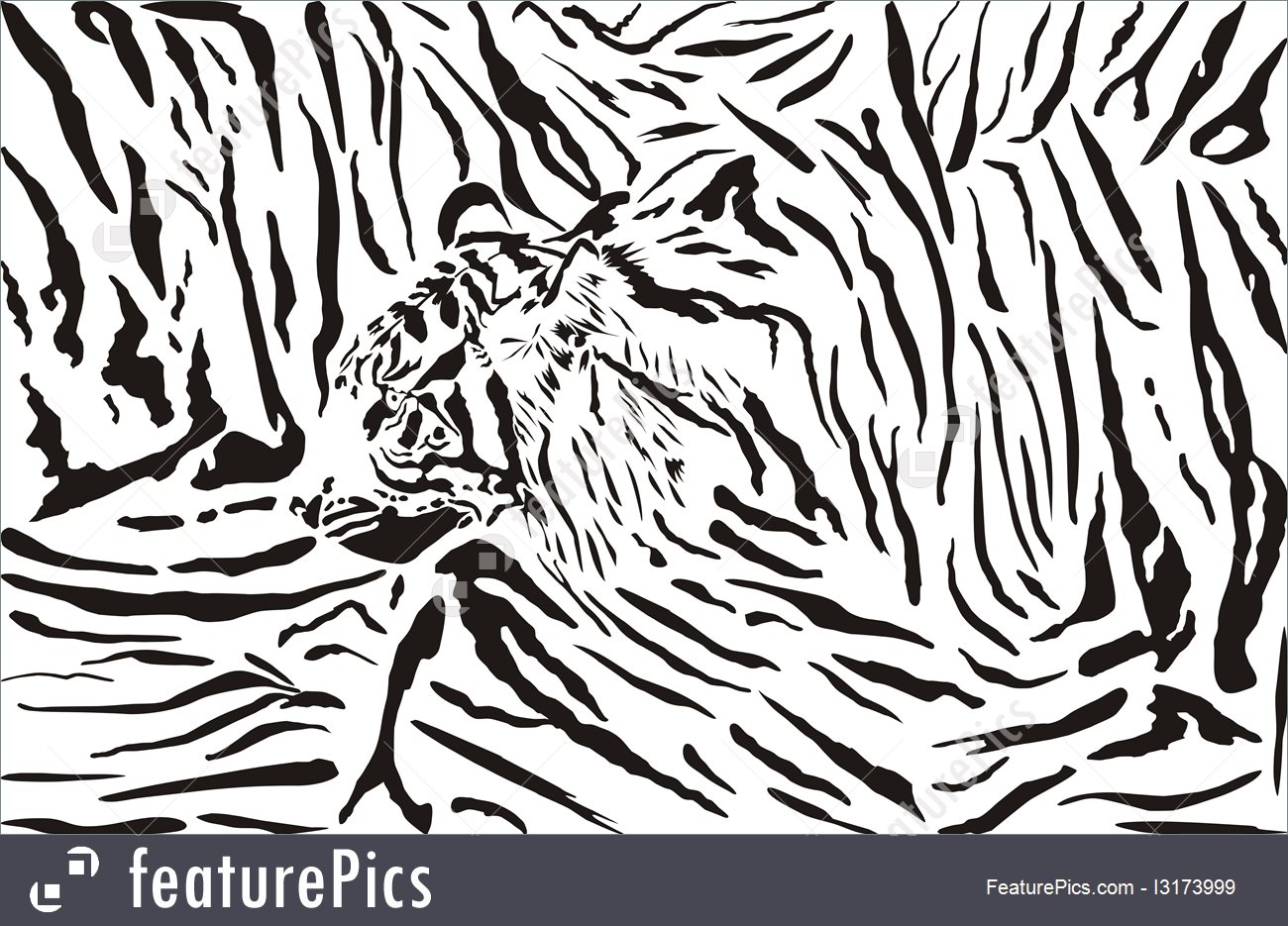 1300x935 Tiger Pattern Background
