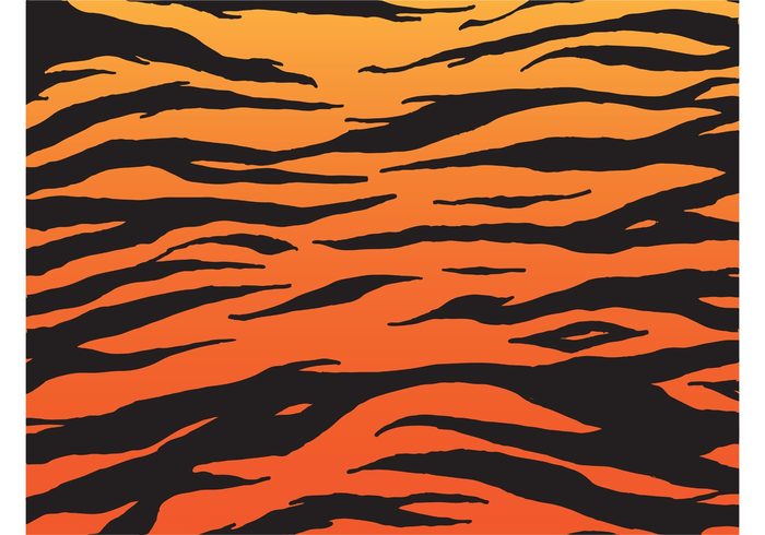 700x490 Tiger Pattern Vector