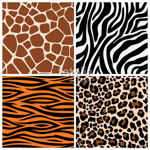 500x500 Zebra, Giraffe And Leopard Patterns Vector Tiger Stripes