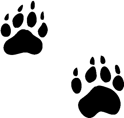 Tiger Paw Print Vector
