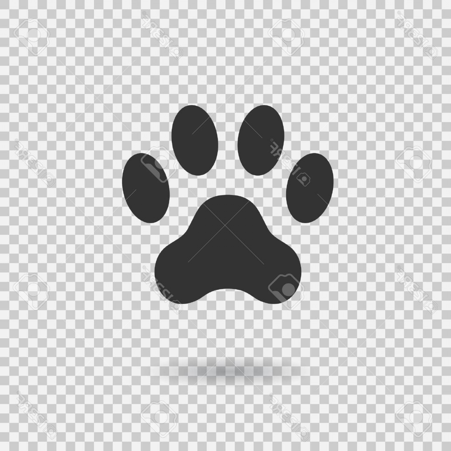 1560x1560 Photostock Vector Animal Paw Print Dog Paw With Shadow Web Icon