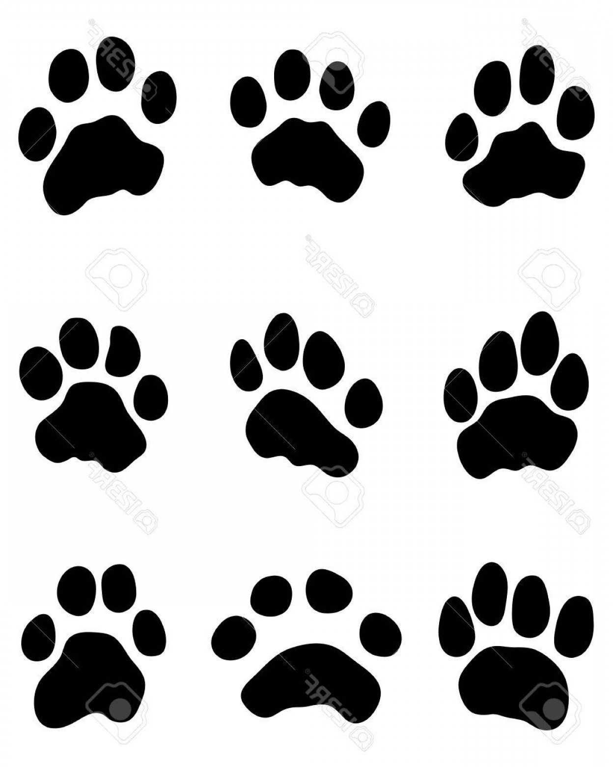 1248x1560 Photostock Vector Black Print Of Tiger Paw Vector Soidergi