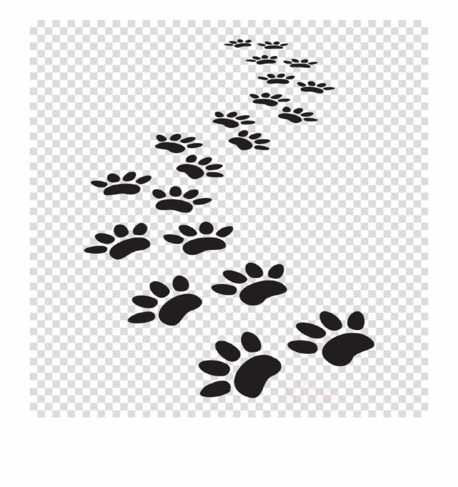 920x980 Vector Dog Paw Prints Clipart Dog Cat Tiger