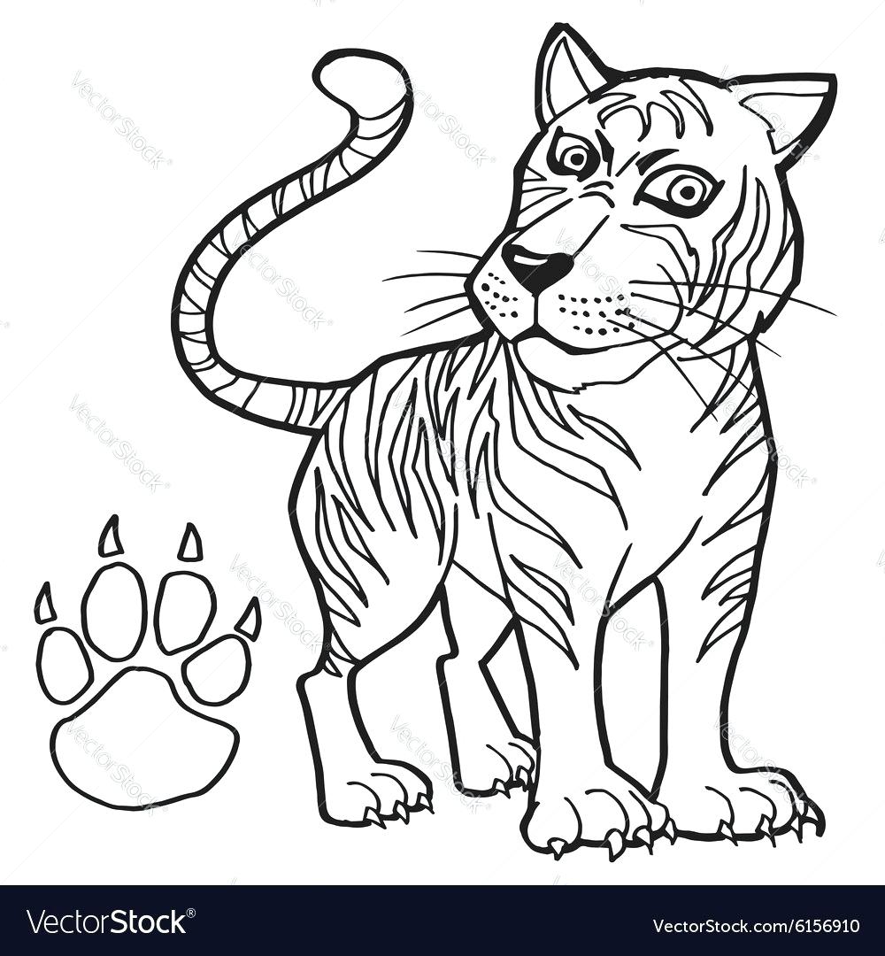 1000x1080 Tiger Paw Print Coloring