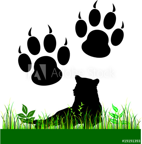 491x500 Tiger Paw Print Illustration