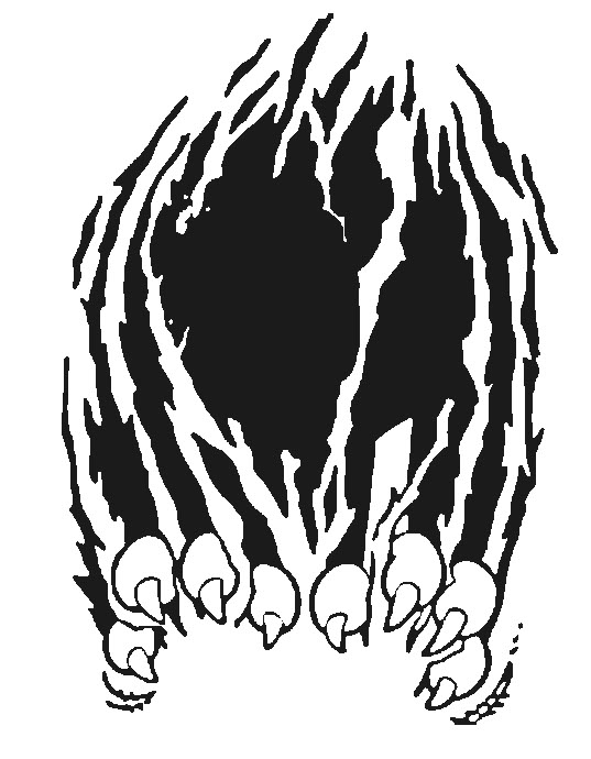 Unique Vector Clipart Tiger Paw Print Vector Illustration 537x690 Unique Vector Clipart Tiger Paw Print Vector Illustration