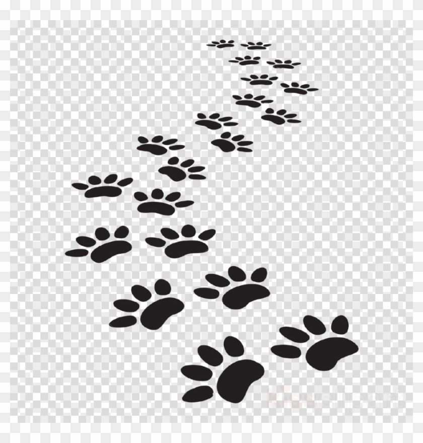 Vector Dog Paw Prints Clipart Dog Cat Tiger 840x880 Vector Dog Paw Prints Clipart Dog Cat Tiger