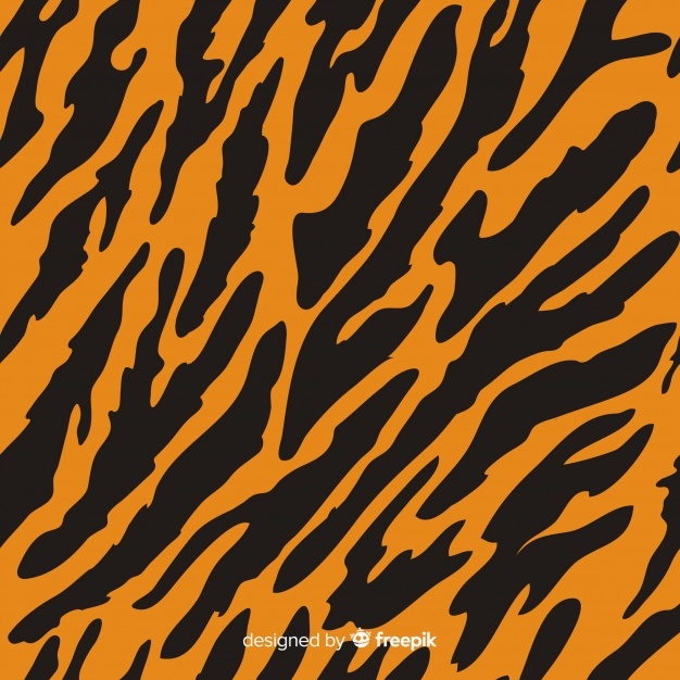 Tiger Print Vectors, Photos And Free Download 626x626 Tiger Print Vectors, Photos And Free Download