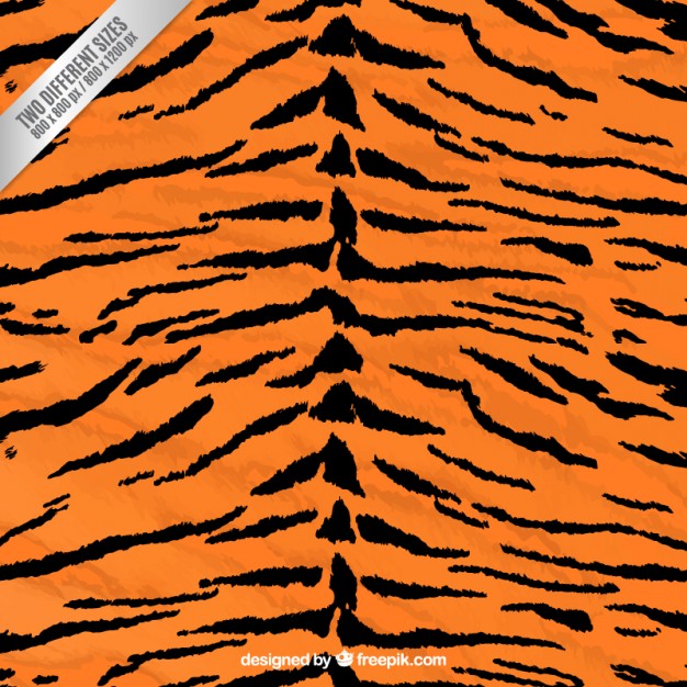 Tiger Print Background Vector Free Download 626x626 Tiger Print Background Vector Free Download
