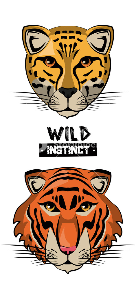 Wild Leopard And Tiger Print For T Shirt Vector Illustration 470x1000 Wild Leopard And Tiger Print For T Shirt Vector Illustration