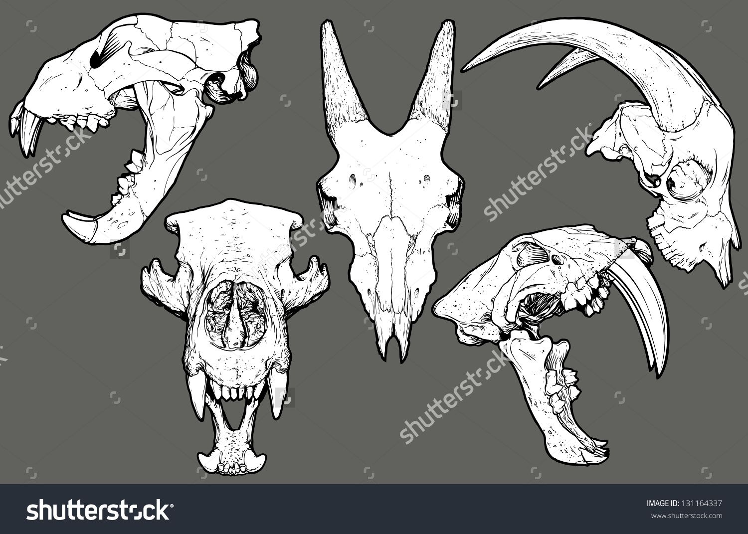 1500x1071 Isolated Black And White Vector Animal Skull Collection Top Row