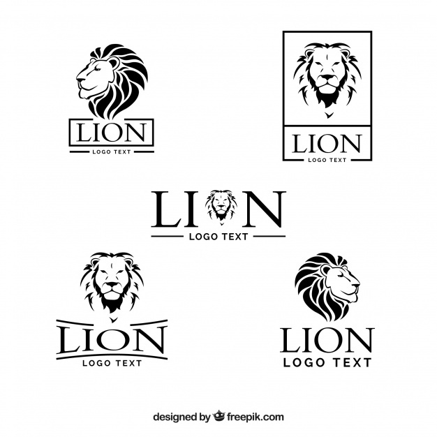 626x626 Lion Vectors, Photos And Free Download