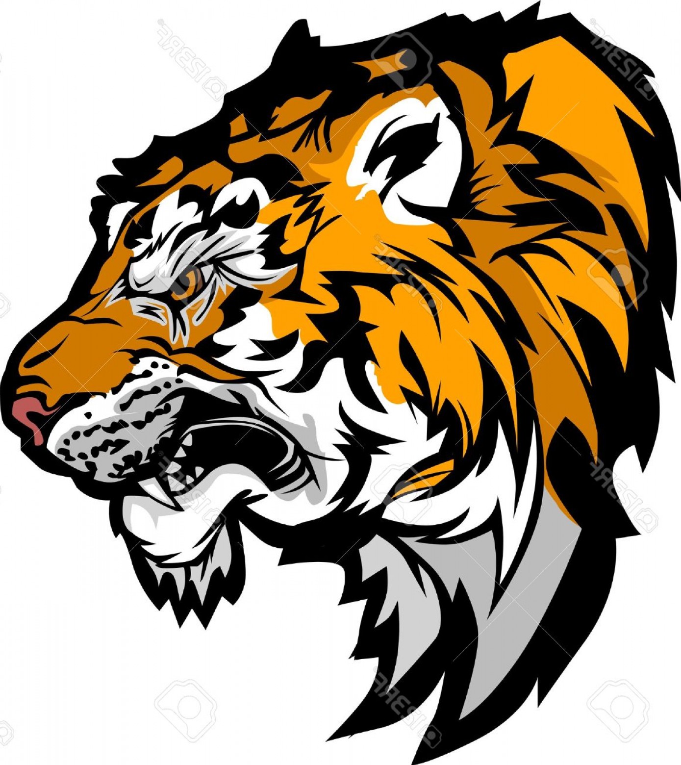 Tiger Profile Vector at Vectorified.com | Collection of Tiger Profile