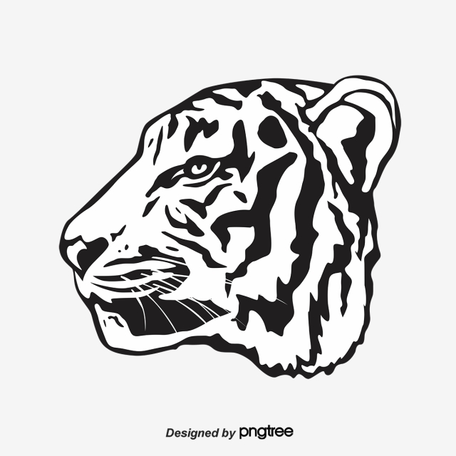 640x640 Silhouette Of Black And White Tiger Profile, Silhouette, Animal
