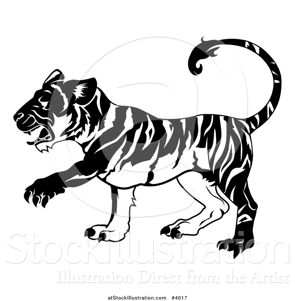 1024x1044 Vector Illustration Of A Black And White Chinese Zodiac Tiger