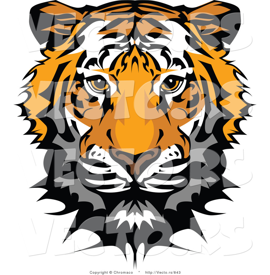 1024x1044 Vector Of A Tiger Head Profile