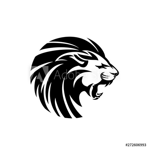 500x500 Furious Wild Lion With Flying Mane