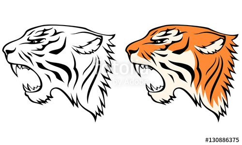 500x300 Simple Line Illustrations Of Tiger Head From Profile View Stock