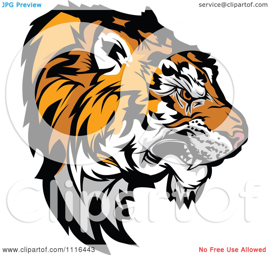 1080x1024 Clipart Growling Tiger Mascot Head Profile