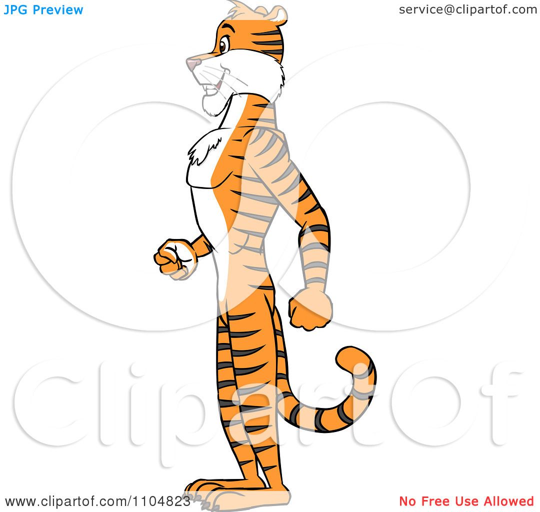 1080x1024 Clipart Happy Tiger In Profile Standing Upright